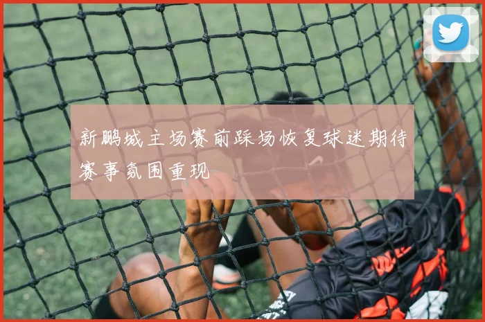 新鹏城主场赛前踩场恢复球迷期待赛事氛围重现
